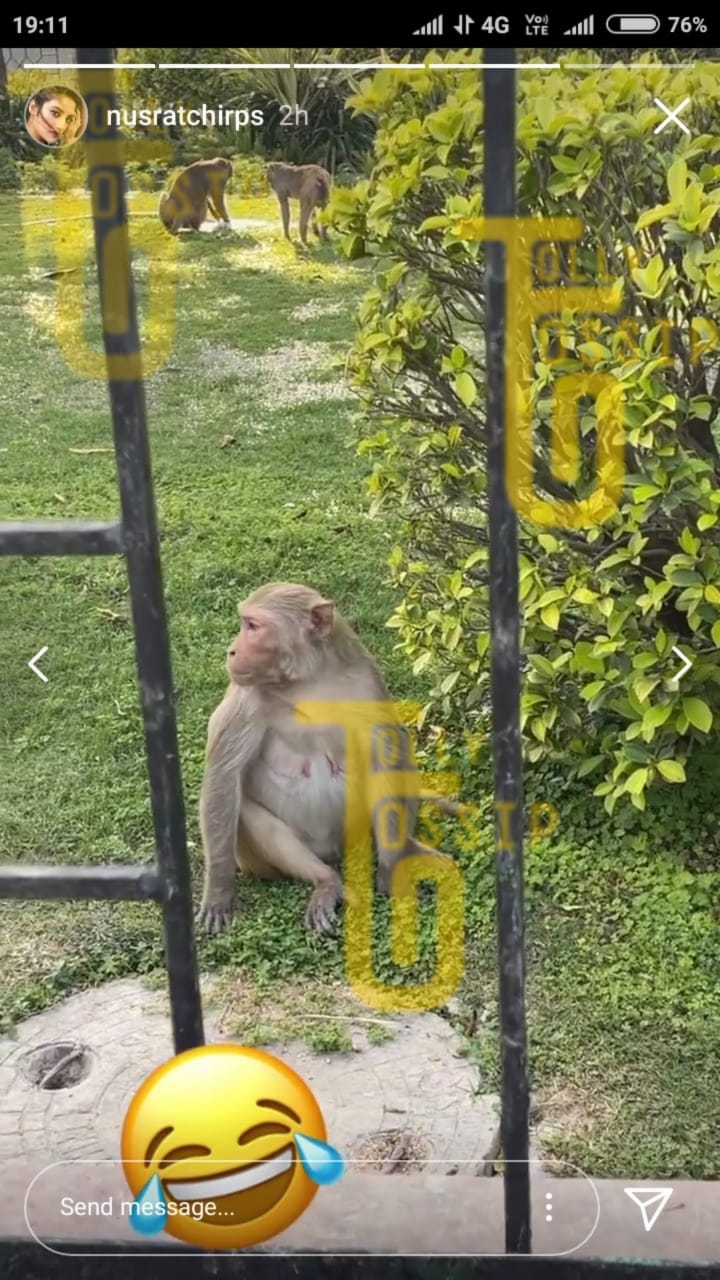 বাংলাদেশে সানি লিওনের সঙ্গে নাচতে গিয়ে বাঁদরের তাড়ার মুখে নুসরাত জাহান! ক্যামেরাবন্দি করার সময় ঘটল বিপত্তি 3 bangladesh